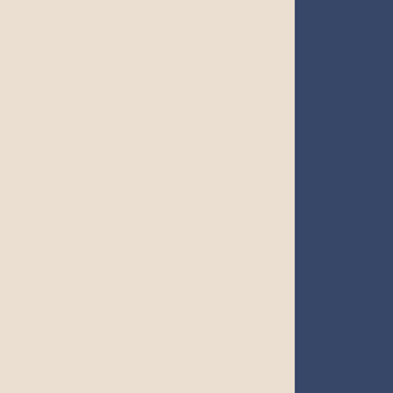 stone-navy