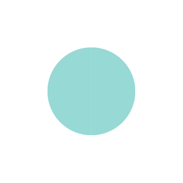 new-mint