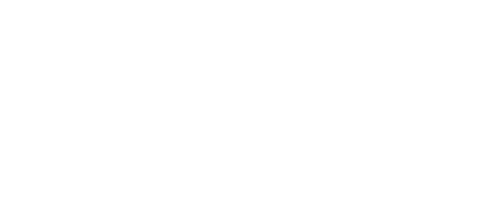 Angry Turtle